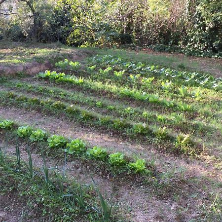 Umbria In Bike B&B Foligno Eksteriør billede