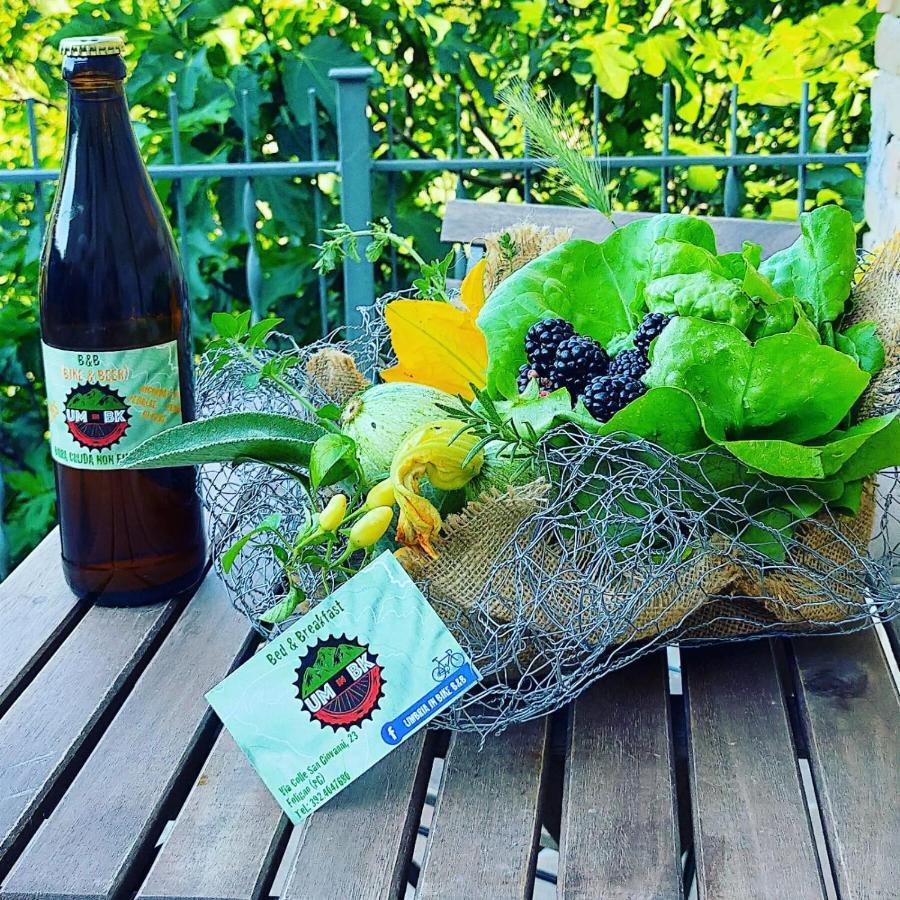 Umbria In Bike B&B Foligno Eksteriør billede