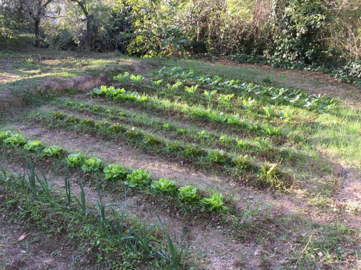 Umbria In Bike B&B Foligno Eksteriør billede