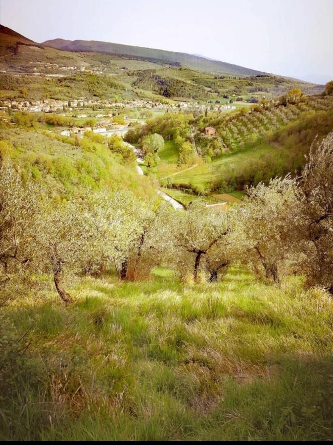 Umbria In Bike B&B Foligno Eksteriør billede